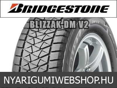 Bridgestone - Blizzak DM-V2