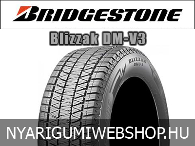 Bridgestone - Blizzak DM-V3