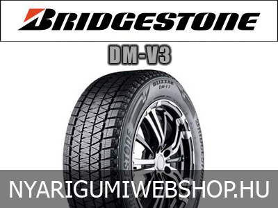 Bridgestone - DM-V3