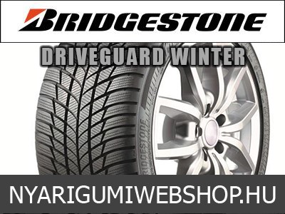 BRIDGESTONE DRIVEGUARD WINTER