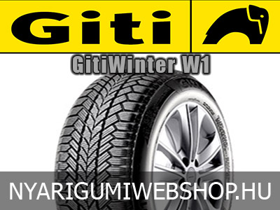 Giti - GitiWinter W1