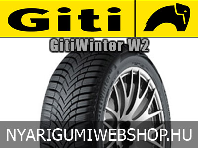 Giti - GitiWinter W2