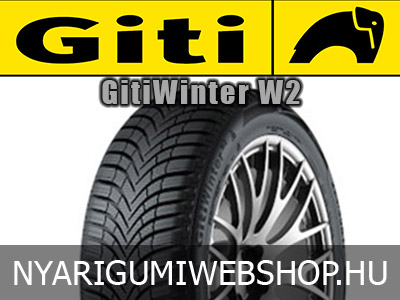 GITI GitiWinter W2