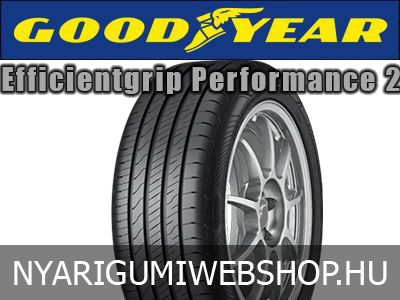 GOODYEAR EFFICIENTGRIP PERFORMANCE 2 - nyárigumi