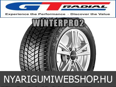 GT RADIAL WINTERPRO2