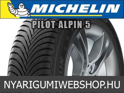 MICHELIN PILOT ALPIN 5 - téligumi