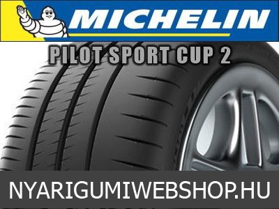 MICHELIN PILOT SPORT CUP 2