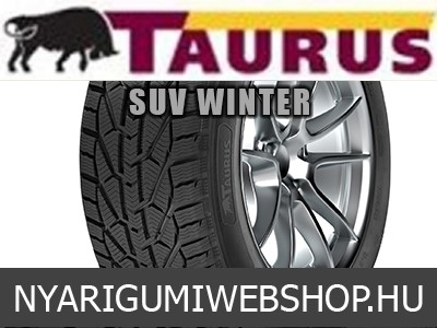 TAURUS SUV WINTER